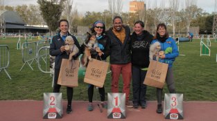 Cap de setmana d'Agility al Sagnier