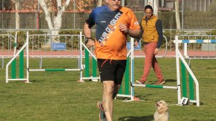 Cap de setmana d'Agility al Sagnier