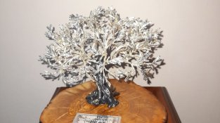 Jordi Llopart continua rebent homenatges