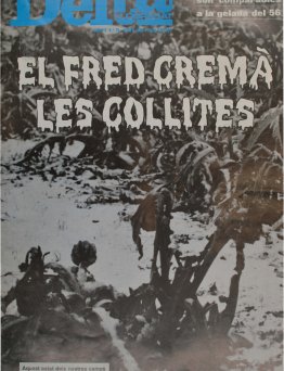 Periòdic Delta, edició nº 75: gener 1985