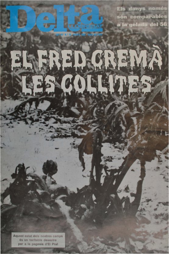 Periòdic Delta, edició nº 75: gener 1985