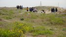 Plantació de vegetació autòctona a la platja del Prat per recuperar les dunes