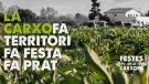 Tornen al Prat les Festes de la Carxofa