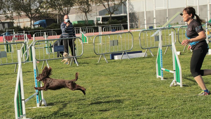 El Sagnier es va omplir de molts aficionats al Agility
