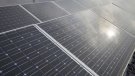 L'Ajuntament crearà una empresa local d'energia