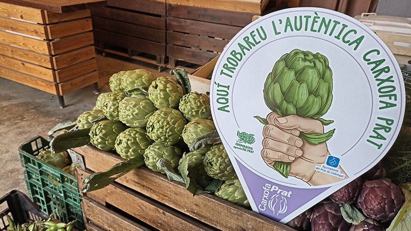 Distintiu de la Carxofa Prat, de la varietat 'Blanca de Tudela'