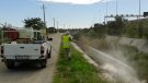La vigilància dels ajuntaments sobre el clavegueram, clau en el control de mosquits
