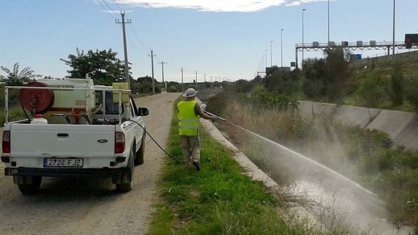 Feines de desinsectació als camins del Parc Agrari, entre el Prat i Sant Boi