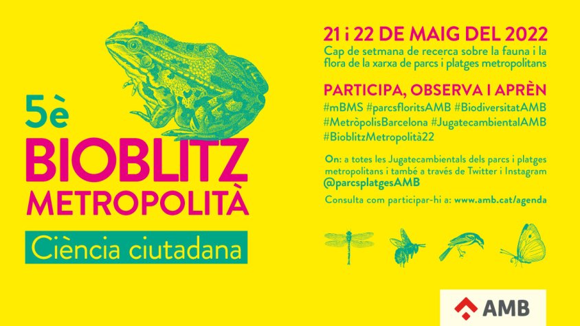 Diumenge torna el Bioblitz Metropolità a les Jugateques Ambientals del Parc Nou i del Riu