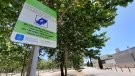 L'Ajuntament revisarà les normes d'aparcament al cementiri després d'haver senyalitzat tot l'espai com a zona verda