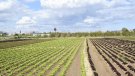 La patronal agrària considera 