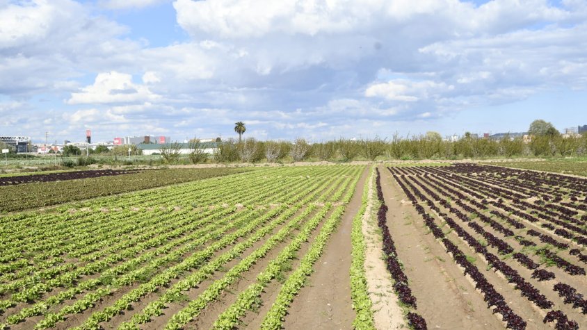 L'ampliació de la zona protegida està generant rebuig des del món agrícola