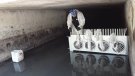 Prova pilot amb malles per retenir residus sòlids al clavegueram del Prat