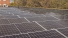 Recta final per engegar la Comunitat d’Energia del Prat