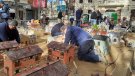 El Prat en miniatura
