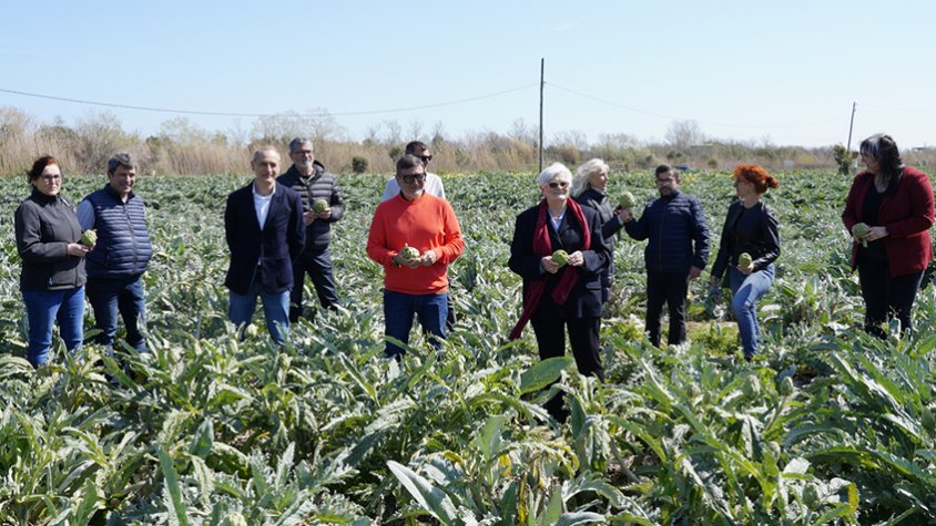 Presentada la 14a edició de les Jornades Gastronòmiques del Pota Blava i la Carxofa Prat