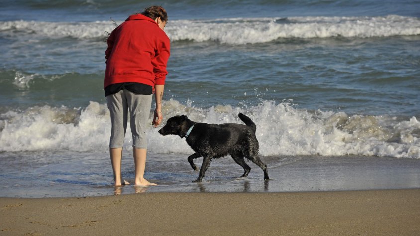 Una jove juga amb el seu gos a la platja