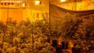 Cop a la “fàbrica” de la droga del Prat