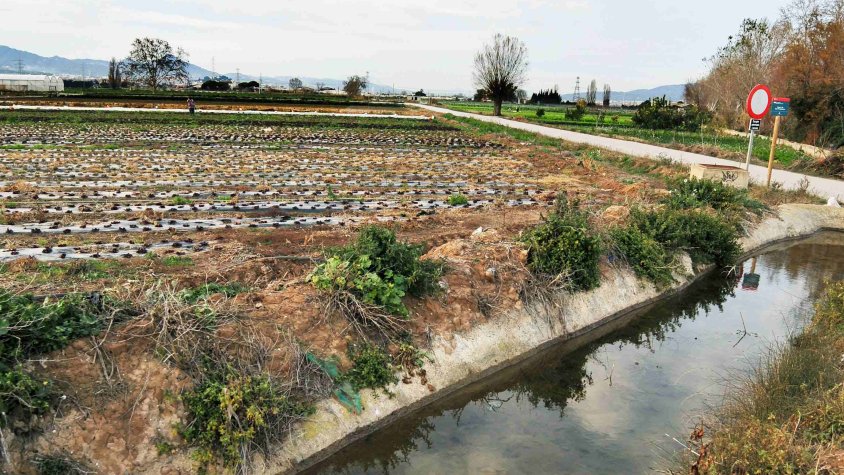Peu de foto: La xarxa de regadiu del Prat ja es nodreix totalment d’aigua regenerada