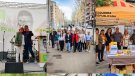 Un final de campanya força divers