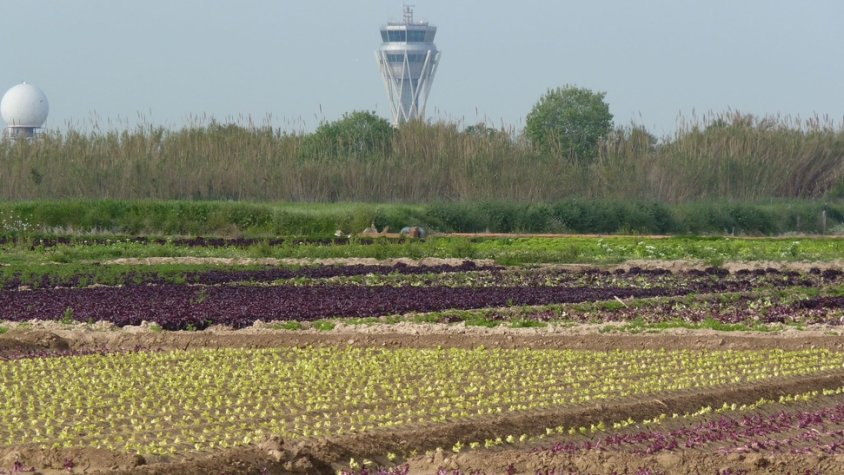 Conreus del Prat amb la torre de control de l'aeroport al fons