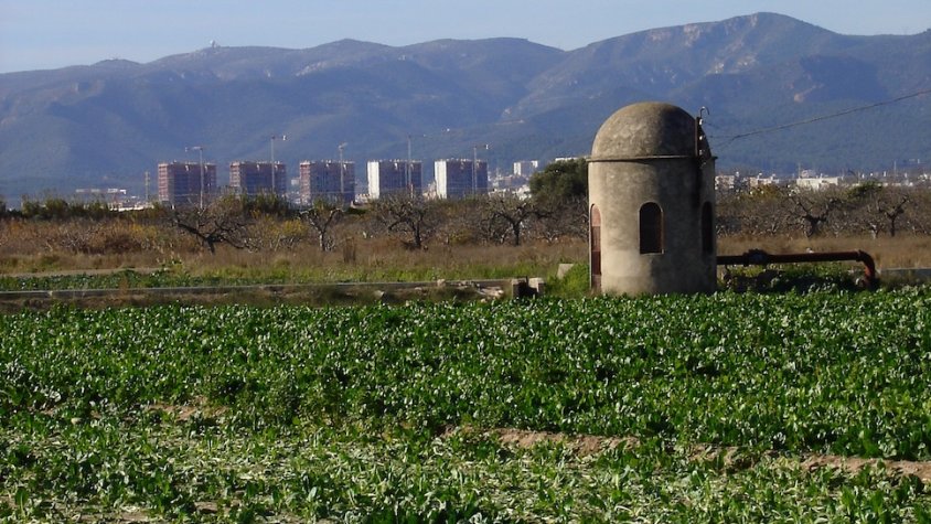 Camps entre el Prat i Sant Boi, amb Viladecans al fons