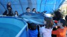 Visites guiades al CRAM: un bon pla familiar