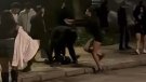 Els aldarulls violents a la zona jove de Festa Major inflamen el debat sobre seguretat