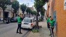 Espigoladors recollirà aquest dissabte 31 les taronges del carrer Mossèn Cinto Verdaguer